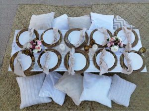 Picnic